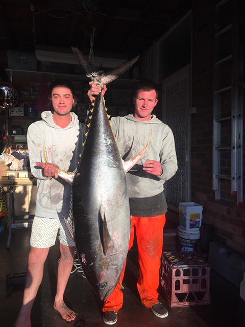 ANGLER: Jesse Ryan SPECIES: Yellowfin Tuna WEIGHT: 48kg LURE: JB Lures Little Dingo.